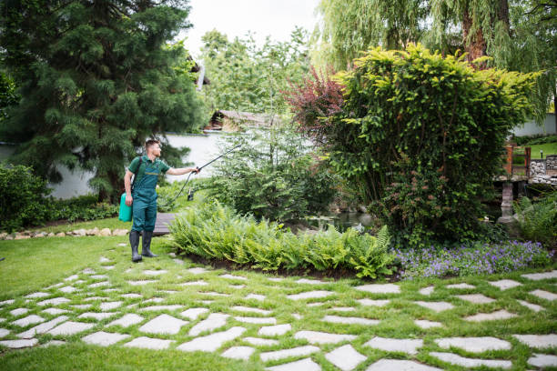  Fort Bragg, CA Pest Control Pros