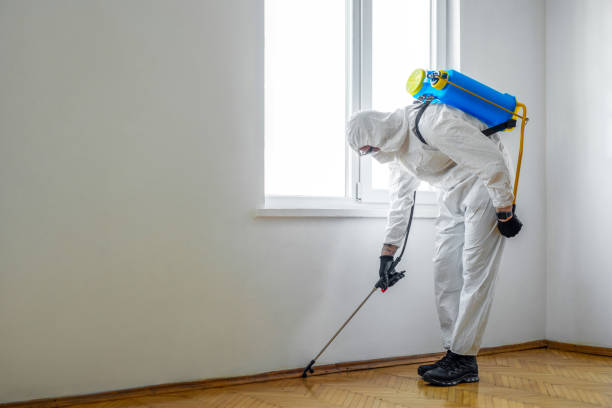 Best Residential Pest Control  in Fort Bragg, CA